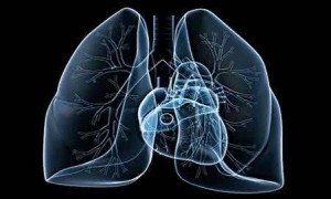 研究：同时使用电子烟与烟草会增加呼吸道症状的风险